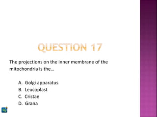 The projections on the inner membrane of the
mitochondria is the…
A. Golgi apparatus
B. Leucoplast
C. Cristae
D. Grana
 