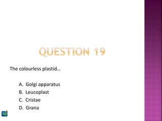 The colourless plastid…
A. Golgi apparatus
B. Leucoplast
C. Cristae
D. Grana
 