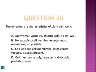 The following are characteristics of plant cells only:
A. Many small vacuoles, chloroplasts, no cell wall.
B. No vacuoles, cell membrane outer most
membrane, no plastids
C. Cell wall and cell membrane, large central
vacuole, plastids present.
D. Cell membrane only, large central vacuole,
plastids present
 