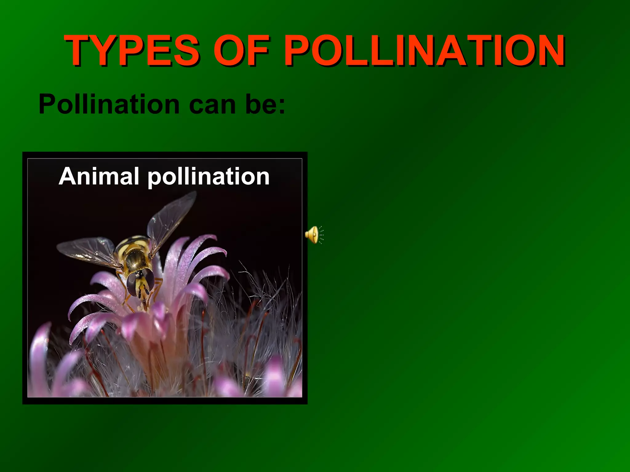 TYPES OF POLLINATION
Pollination can be:

 Animal pollination
 