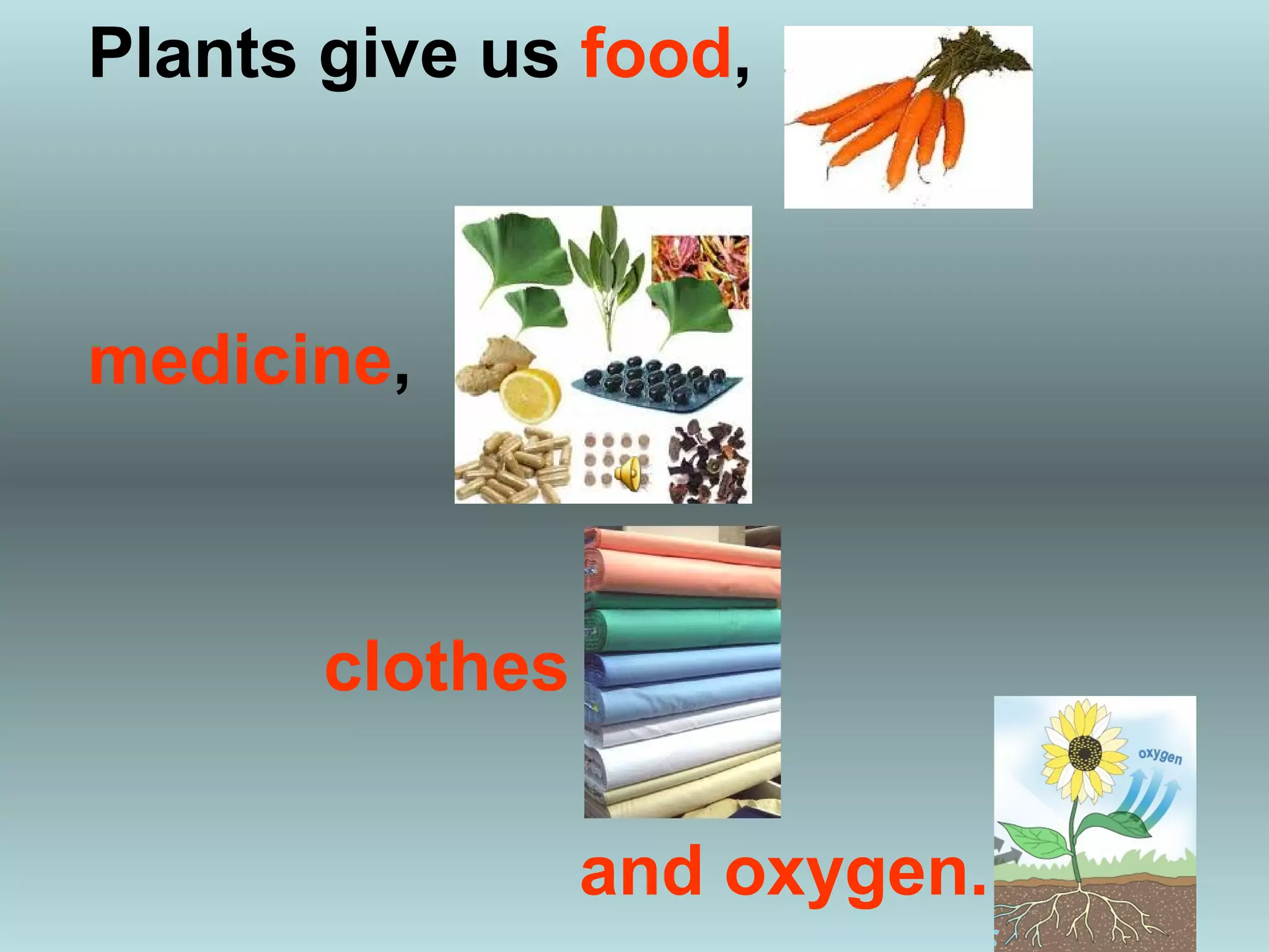 Plants give us food,



medicine,



       clothes

                 and oxygen.
 