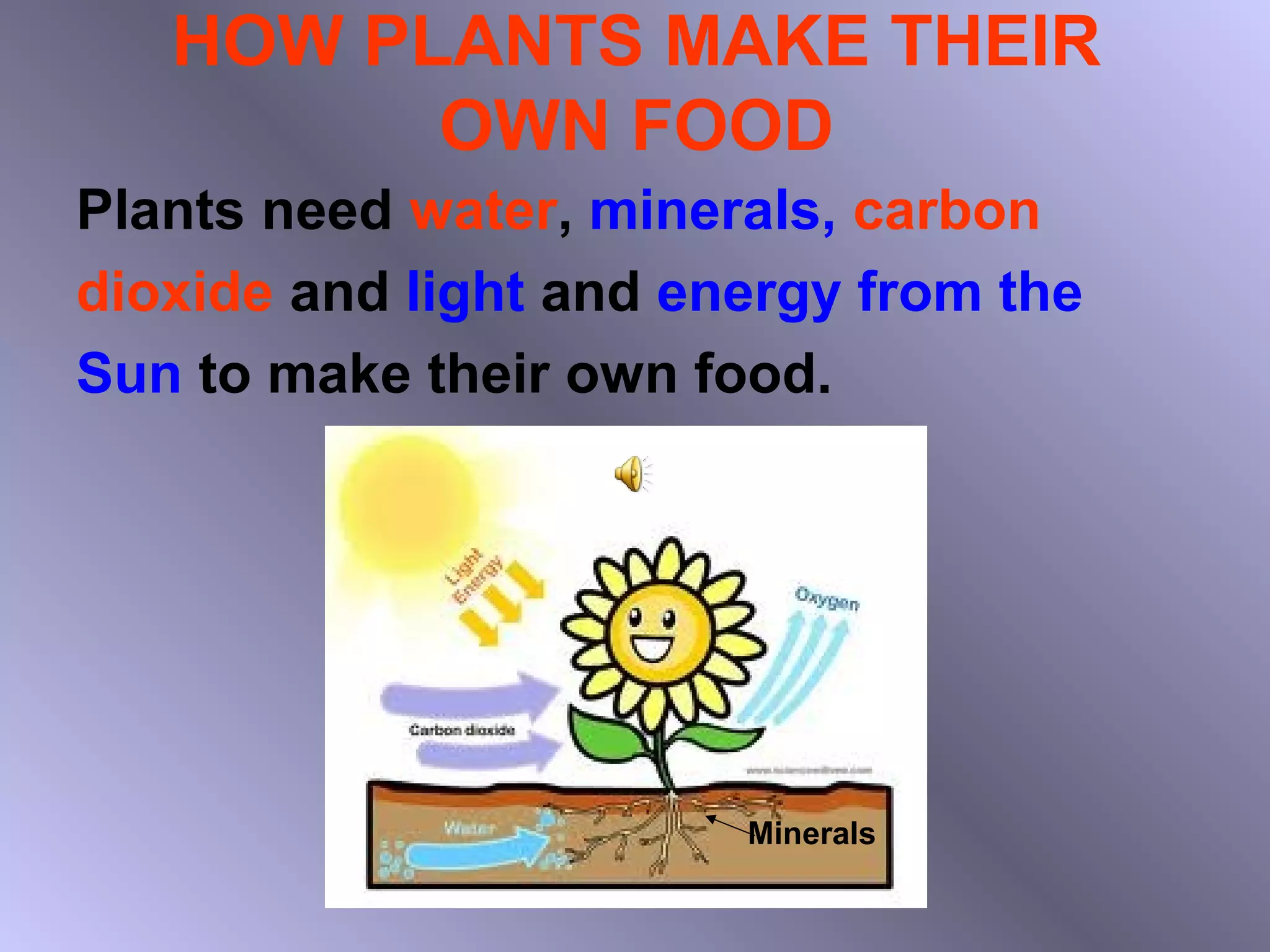 HOW PLANTS MAKE THEIR
         OWN FOOD
Plants need water, minerals, carbon
dioxide and light and energy from the
Sun to make their own food.




                        Minerals
 