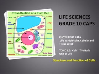 PP4_Cell_structure_and_functions_1453876549.ppt