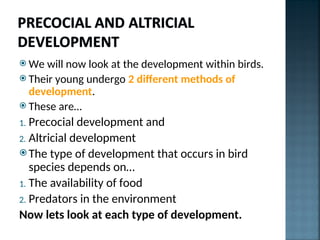 Precocial Development Examples PP4_Diversity_of_reproductive_strategies.ppt