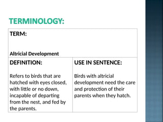 PP4_Diversity_of_reproductive_strategies.ppt