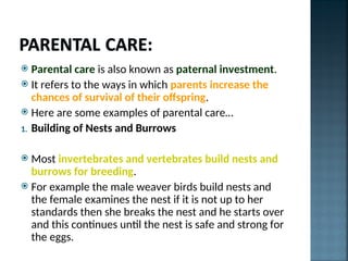 Paternal Examples PP4_Diversity_of_reproductive_strategies.ppt