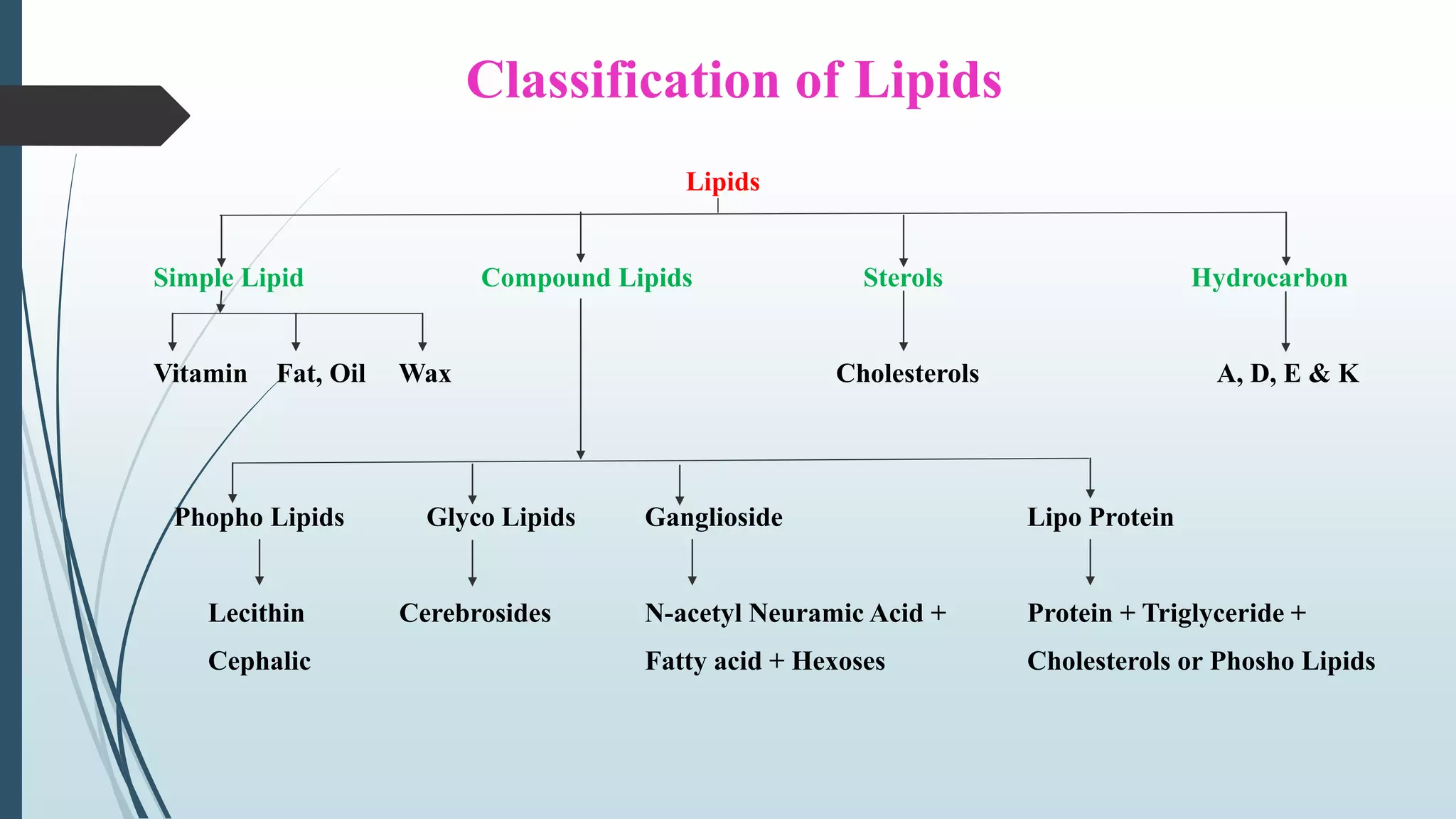 Classification of Lipids
Lipids
Simple Lipid Compound Lipids Sterols Hydrocarbon
Vitamin Fat, Oil Wax Cholesterols A, D, E & K
Phopho Lipids Glyco Lipids Ganglioside Lipo Protein
Lecithin Cerebrosides N-acetyl Neuramic Acid + Protein + Triglyceride +
Cephalic Fatty acid + Hexoses Cholesterols or Phosho Lipids
 