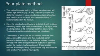 Pour Plate Method Example DETECTION AND DIAGNOSIS OF PLANT DISEASES | PPTX