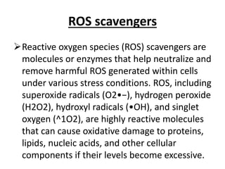 Ros Level H2o2 Assignment assignment seminar presentation.pptx