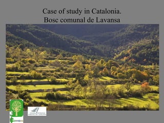 Case of study in Catalonia.
Bosc comunal de Lavansa
 