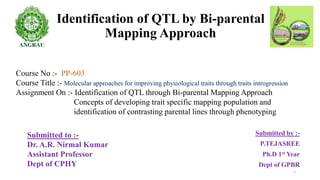 Identification of QTL by Bi-parental
Mapping Approach
Submitted by :-
P.TEJASREE
Ph.D 1st Year
Dept of GPBR
Course No :- PP-603
Course Title :- Molecular approaches for improving physiological traits through traits introgression
Assignment On :- Identification of QTL through Bi-parental Mapping Approach
Concepts of developing trait specific mapping population and
identification of contrasting parental lines through phenotyping
Submitted to :-
Dr. A.R. Nirmal Kumar
Assistant Professor
Dept of CPHY
1
 
