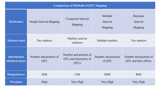 QTL MAPPING AND APPROACHES IN BIPARENTAL MAPPING POPULATIONS.pptx
