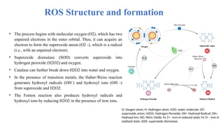 What Is An Ros Form Stress responses studying techniques in plants | PPTX