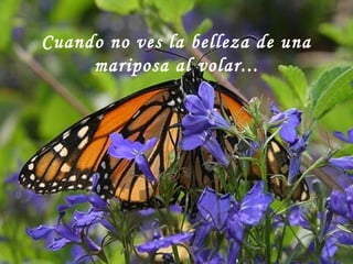 Cuando no ves la belleza de una
mariposa al volar...
 