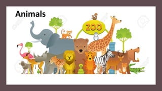 Animals
