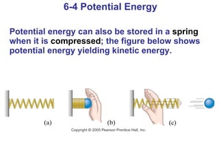 6-4 Potential Energy Potential energy can also be stored in a  spring  when it is  compressed ; the figure below shows potential energy yielding kinetic energy. 