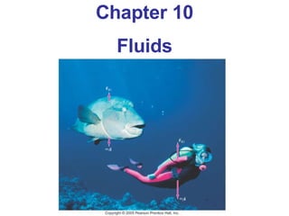 Chapter 10 Fluids 