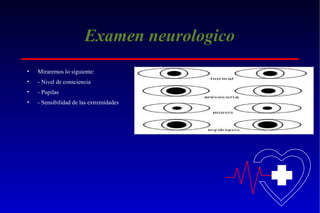Examen neurologico
•

Miraremos lo siguiente:

•

- Nivel de consciencia

•

- Pupilas

•

- Sensibilidad de las extremidades

 