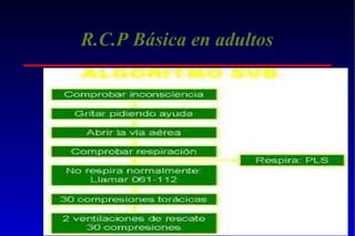 R.C.P Básica en adultos

 