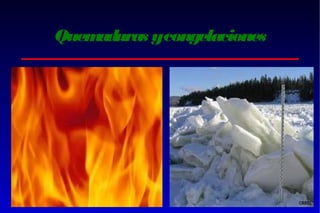 Quem
aduras ycongelaciones

 