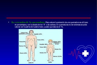 •

L extensión de la quemadura: Para valorar la extensión de una quemadura se utilizara
a
en porcentajes y con la escala de los “ 9” o de wallace. En quemaduras no tan extensas se poda
valorar con la palma de nuestra mano, puesto que esta es el 1%.

 