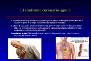 El síndrome coronario agudo
•

El síndrome coronario agudo mas conocido por angina de pecho o infarto agudo de miocardio son la
reducion de aporte de la sangre a un determinado espacio del miocardio.

•

E infarto de miocardio: En este es la reducion del aporte de sangre ya sea por obstrucion arterial
l
total o por ser lo suficientemente prolongada como para que se produzca una lesión irreversible
en este caso la muerte de células del corazón.

•

L angina de pecho: Esta habitualmente es transitorio, dura unos minutos y cesa sin producir
a
ninguna gravedad en el corazón

 