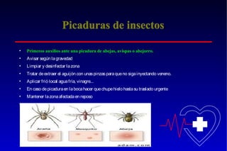 Picaduras de insectos
•

Primeros auxilios ante una picadura de abejas, avispas o abejorro.

•

Avisar según la gravedad

•

Limpiar y desinfectar la zona

•

Tratar de extraer el aguijón con unas pinzas para que no siga inyectando veneno.

•

Aplicar frió local agua fría, vinagre...

•

En caso de picadura en la boca hacer que chupe hielo hasta su traslado urgente

•

Mantener la zona afectada en reposo

•

 