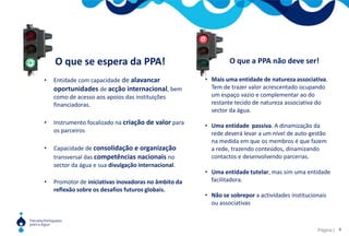 O que se espera da PPA!O que a PPA não deve ser!Entidade com capacidade de alavancar oportunidades de acção internacional, bem como de acesso aos apoios das instituições financiadoras.