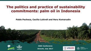 The politics and practice of sustainability
commitments: palm oil in Indonesia
Pablo Pacheco, Cecilia Luttrell and Heru Komarudin
IASC Conference
Utrecht, July 2017
 