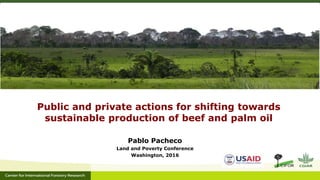Public and private actions for shifting towards
sustainable production of beef and palm oil
Pablo Pacheco
Land and Poverty Conference
Washington, 2016
 