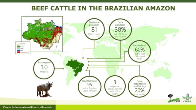 Public And Private Actions For Shifting Towards Sustainable Production 