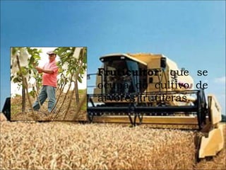Fruticultor : que se ocupa do cultivo de árvores frutíferas. 