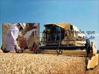 Apicultor:  pessoa que se dedica à criação de abelhas. 