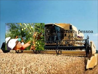 Olivicultor:  pessoa que se dedica à  cultura de olivais . 