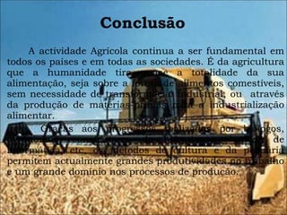 Conclusão A actividade Agrícola continua a ser fundamental em todos os países e em todas as sociedades. É da agricultura que a humanidade tira quase a totalidade da sua alimentação, seja sobre a forma de alimentos comestíveis, sem necessidade de transformação industrial, ou  através da produção de matérias-primas para a industrialização alimentar.  Graças aos progressos realizados por biólogos, agrónomos, construtores de máquinas, técnicos de informática, etc, os métodos de cultura e da pecuária permitem actualmente grandes produtividades no trabalho e um grande domínio nos processos de produção. 