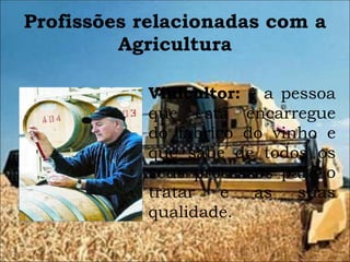 Profissões relacionadas com a Agricultura Vinicultor:  é a pessoa que está encarregue do fabrico do vinho e que sabe de todos os seus processos para o tratar e as suas qualidade. 