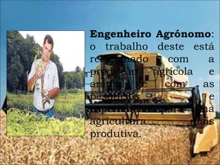 Engenheiro Agrónomo : o trabalho deste está relacionado com a produção agrícola e animal e com as pesquisas e experiências para uma agricultura mais produtiva . 