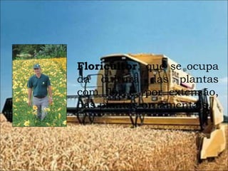 Floricultor , que se ocupa da cultura das plantas com flor e, por extensão, das plantas ornamentais.  