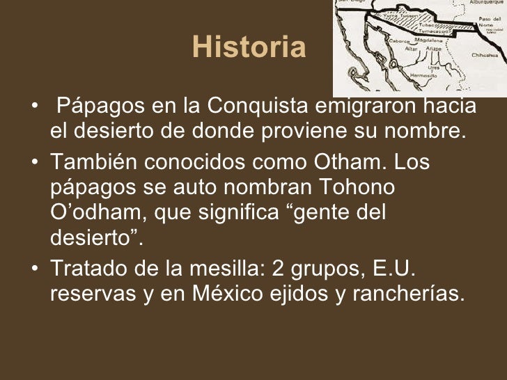 Pápagos expo