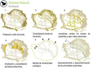 Sistema Natural
Estrategias
Protección anillo de borde. Consolidación borde de
transición.
corredores verdes en bordes de
quebrada y ejes viales relevantes.
Ampliación y consolidación
de áreas productivas.
Bordes de conectividad
ecológica.
Aprovechamiento y descontaminación
de las principales quebradas.
 