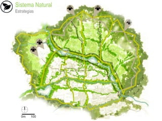 Sistema Natural
Estrategias
 