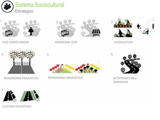 Sistema Sociocultural
Estrategias
VIAS CONSOLIDADAS DISGREGAR USOS SILVOCULTURA
PATROMONIO PAISAJISTICO PATROMONIO PAISAJISTICO
CULTIVOS EDUCATIVOS
ACTIVIDADES EN Z.
EXPANSION
 