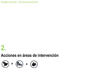 Acciones en áreas de intervención
Paisajes de borde – Escenarios evolutivos
2.
+ +
 