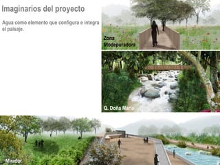 Mirador
Zona
fitodepuradora
Q. Doña María
Agua como elemento que configura e integra
el paisaje.
Imaginarios del proyecto
 