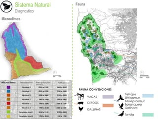 Sistema Natural
Diagnostico
Microclimas
Fauna
 