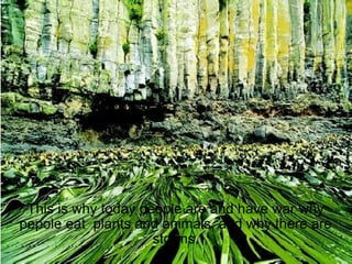 This is why today people are and have war why pepole eat plants and animals, and why there are storms.