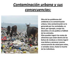 Contaminación urbana y sus
     consecuencias:

              Otro de los problemas del
              ambiente es la contaminación
              urbana. Esta contaminación es la
              generada por las sociedades, es
              decir, por ejemplo, arrojar los
              desechos a la vía publica o hábitat
              de los animales.
              Ellos pueden ingerir los restos de
              alimentos que están dentro de las
              bolsas de residuos o mismo ingerir
              esas bolsas y provocar severas
              consecuencias de salud para estos,
              o variadas veces, hasta la muerte
              de los individuos.
 