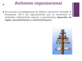 + Ambiente organizacional
 De acuerdo a investigaciones de (Gibson, Ivancevich, Donnelly, &
Konopaske, 2011) las organizaciones que se encuentran en
ambientes relativamente seguros y permanentes dependen de
reglas, procedimientos y control jerárquico.
 
