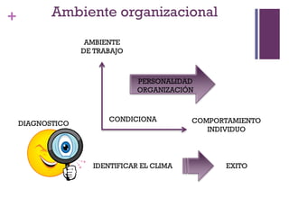 + Ambiente organizacional
AMBIENTE
DE TRABAJO
PERSONALIDAD
ORGANIZACIÓN
COMPORTAMIENTO
INDIVIDUO
CONDICIONA
DIAGNOSTICO
IDENTIFICAR EL CLIMA EXITO
 
