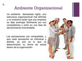 +
Las percepciones son compartidas, y
que cada percepción es individual y
distinta, ya que es lo que va
determinando su forma de actual
dentro de la organización.
Ambiente Organizacional
Un ambiente demasiado rígido, una
estructura organizacional mal definida
y no evolutiva harán que una empresa
se deje aventajar fácilmente por sus
competidores y entre en una fase de
decrecimiento incontrolable.
 